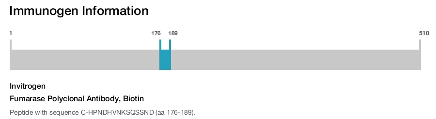 Fumarase Polyclonal Antibody, Biotin