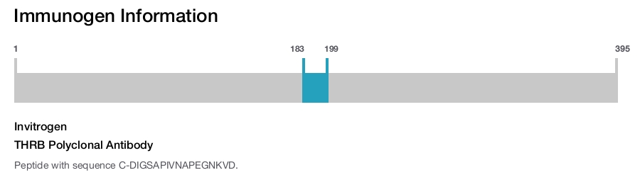 THRB Polyclonal Antibody