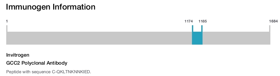 GCC2 Polyclonal Antibody