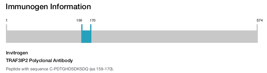 TRAF3IP2 Polyclonal Antibody