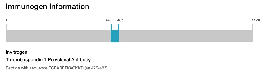 Thrombospondin 1 Polyclonal Antibody
