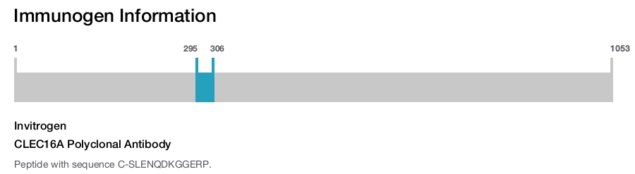 CLEC16A Polyclonal Antibody