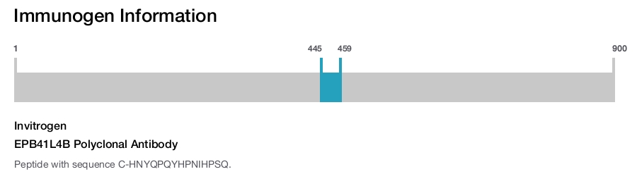 EPB41L4B Polyclonal Antibody