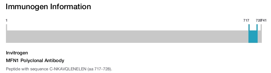 MFN1 Polyclonal Antibody