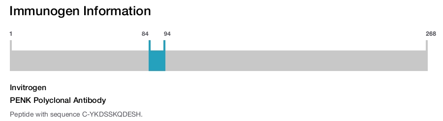 PENK Polyclonal Antibody
