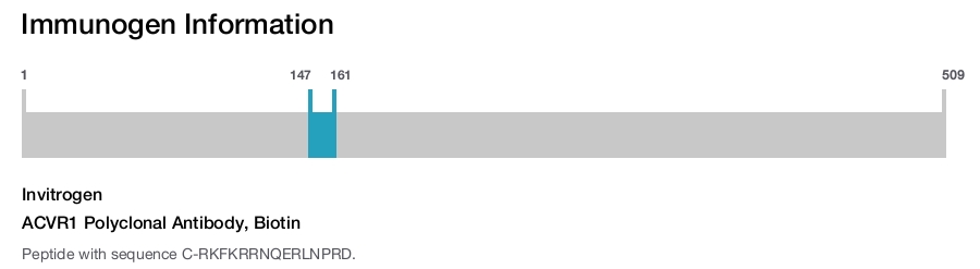 ACVR1 Polyclonal Antibody, Biotin