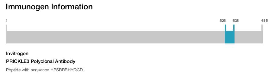 PRICKLE3 Polyclonal Antibody