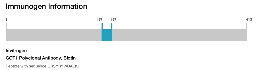 GOT1 Polyclonal Antibody, Biotin