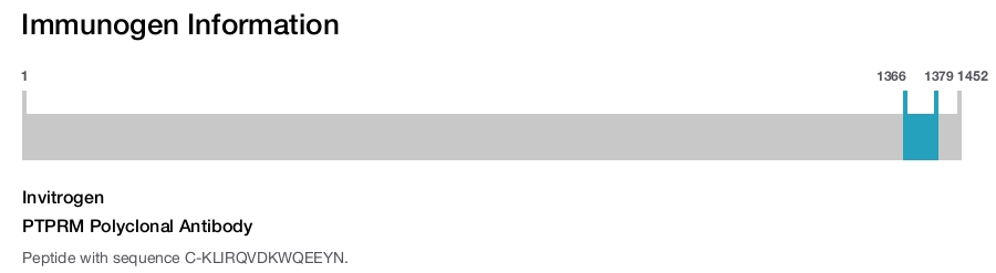 PTPRM Polyclonal Antibody