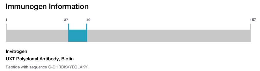 UXT Polyclonal Antibody, Biotin