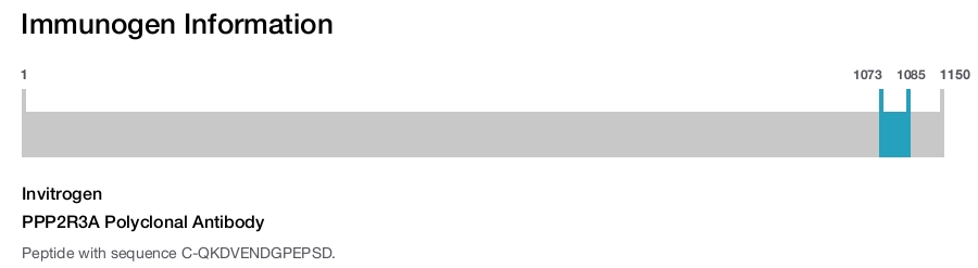 PPP2R3A Polyclonal Antibody