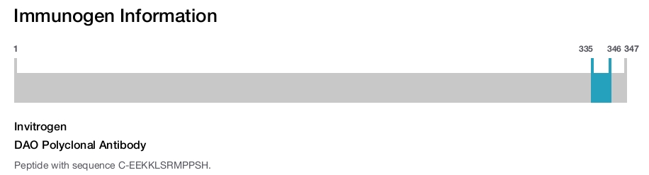 DAO Polyclonal Antibody