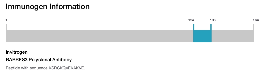 RARRES3 Polyclonal Antibody