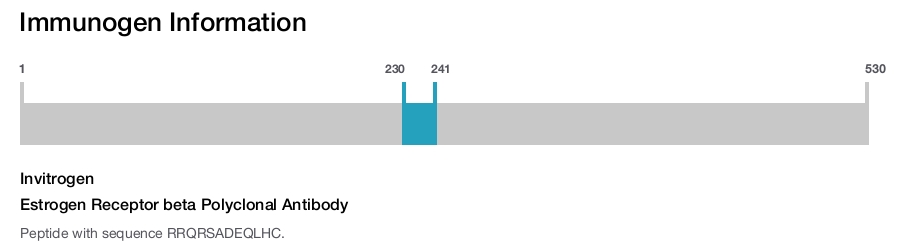 Estrogen Receptor beta Polyclonal Antibody