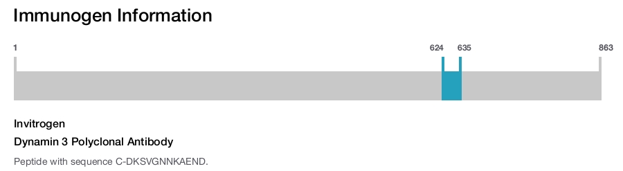 Dynamin 3 Polyclonal Antibody