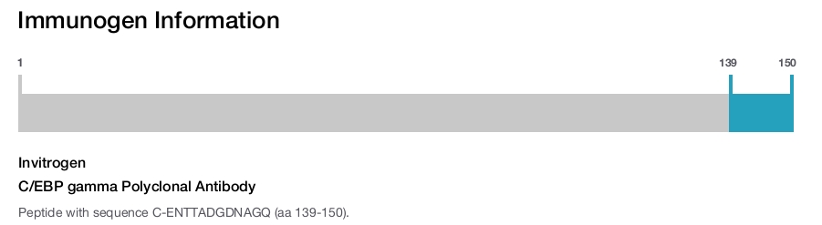 C/EBP gamma Polyclonal Antibody