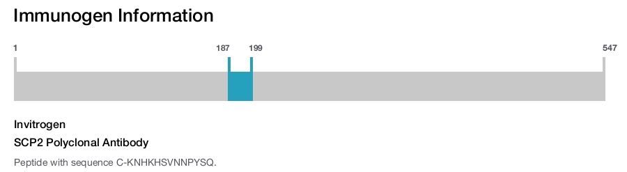 SCP2 Polyclonal Antibody