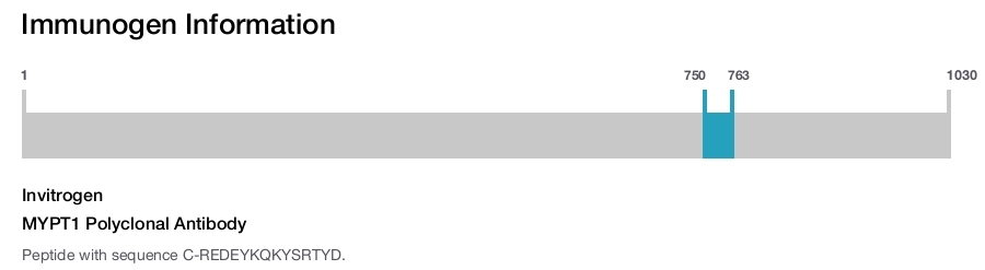 MYPT1 Polyclonal Antibody