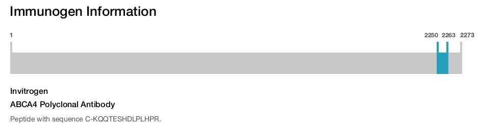 ABCA4 Polyclonal Antibody