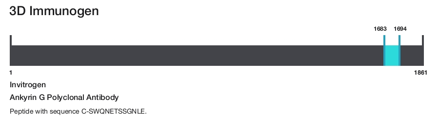 Ankyrin G Polyclonal Antibody