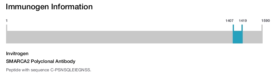 SMARCA2 Polyclonal Antibody