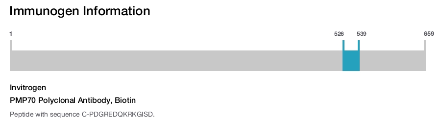 PMP70 Polyclonal Antibody, Biotin