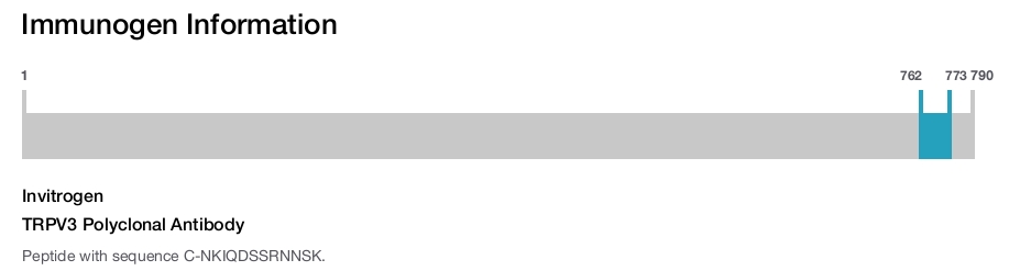 TRPV3 Polyclonal Antibody