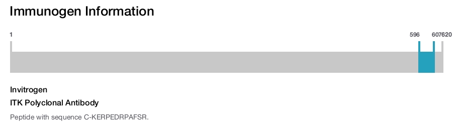 ITK Polyclonal Antibody