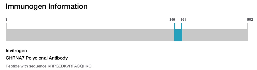 CHRNA7 Polyclonal Antibody