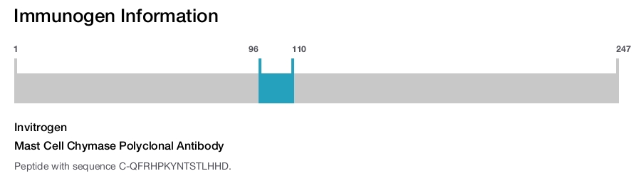 Mast Cell Chymase Polyclonal Antibody