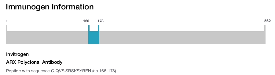 ARX Polyclonal Antibody