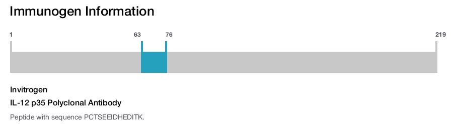 IL-12 p35 Polyclonal Antibody
