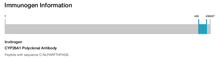 CYP26A1 Polyclonal Antibody