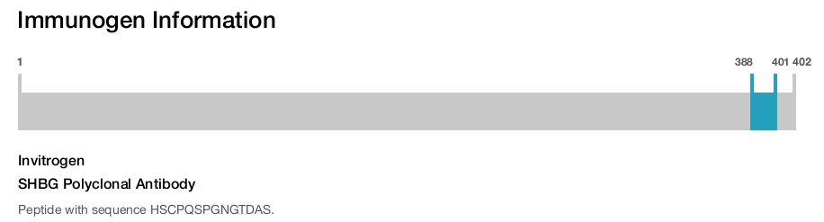 SHBG Polyclonal Antibody