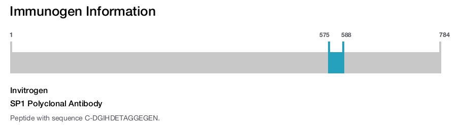 SP1 Polyclonal Antibody