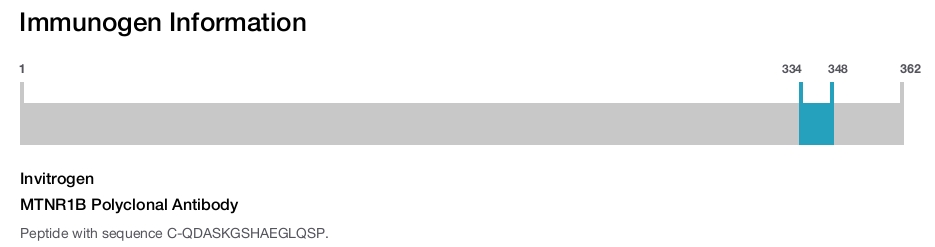 MTNR1B Polyclonal Antibody