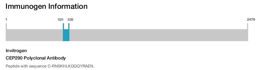 CEP290 Polyclonal Antibody