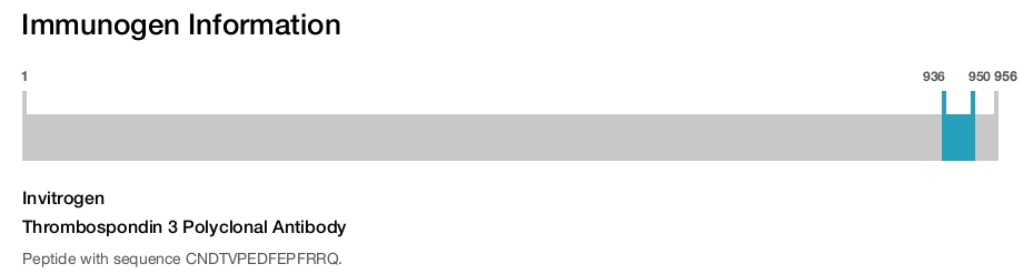 Thrombospondin 3 Polyclonal Antibody