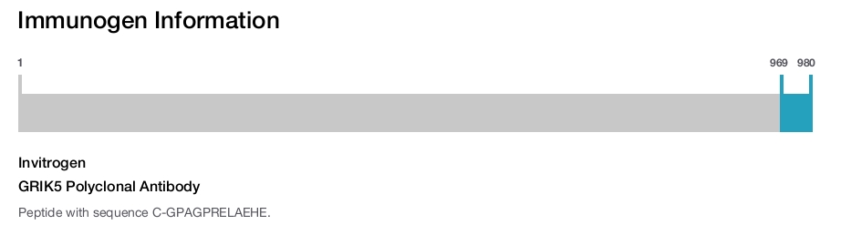 GRIK5 Polyclonal Antibody