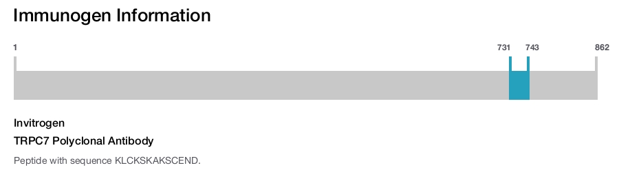 TRPC7 Polyclonal Antibody