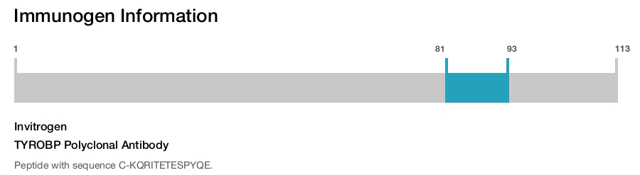 TYROBP Polyclonal Antibody