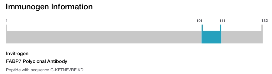 FABP7 Polyclonal Antibody