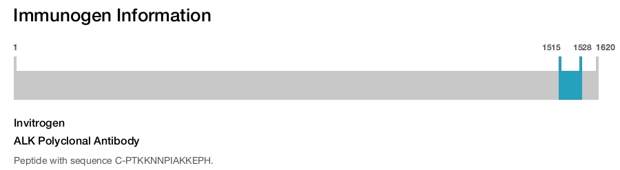 ALK Polyclonal Antibody