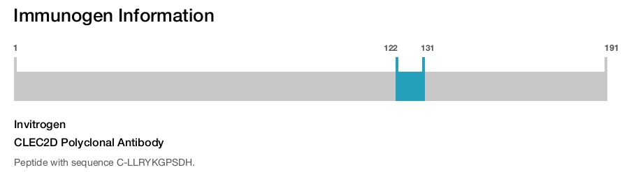 CLEC2D Polyclonal Antibody