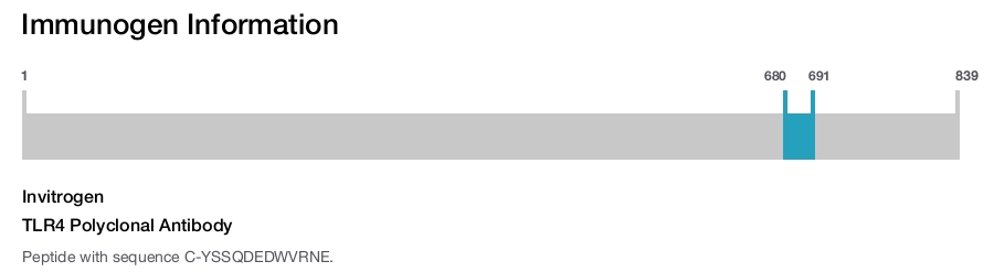 TLR4 Polyclonal Antibody