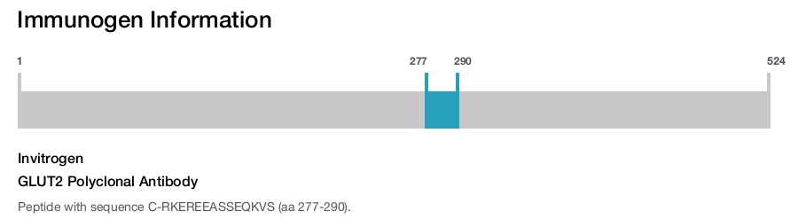 GLUT2 Polyclonal Antibody