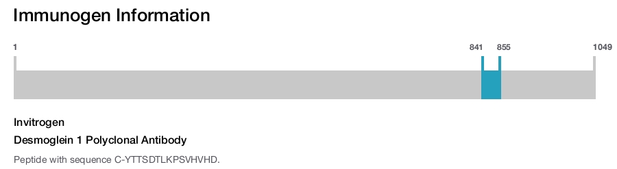 Desmoglein 1 Polyclonal Antibody