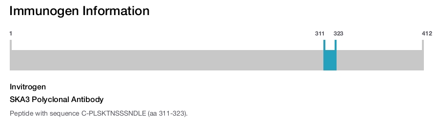 SKA3 Polyclonal Antibody