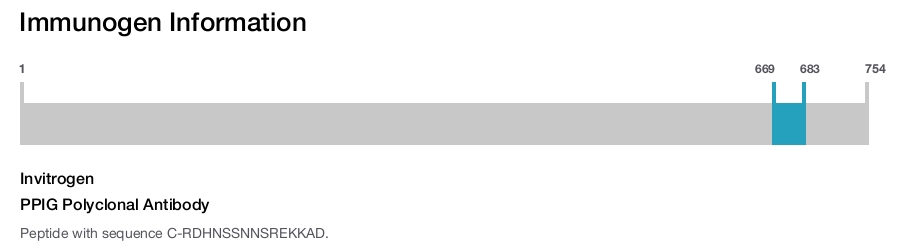 PPIG Polyclonal Antibody