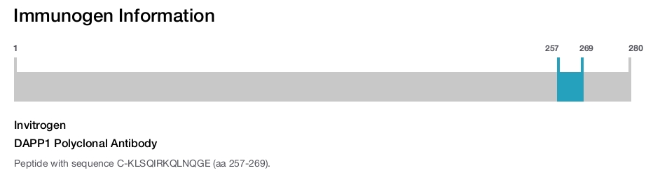 DAPP1 Polyclonal Antibody